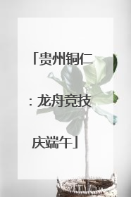贵州铜仁：龙舟竞技庆端午